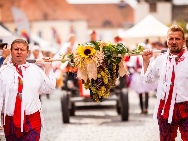 Pálavské vinobraní