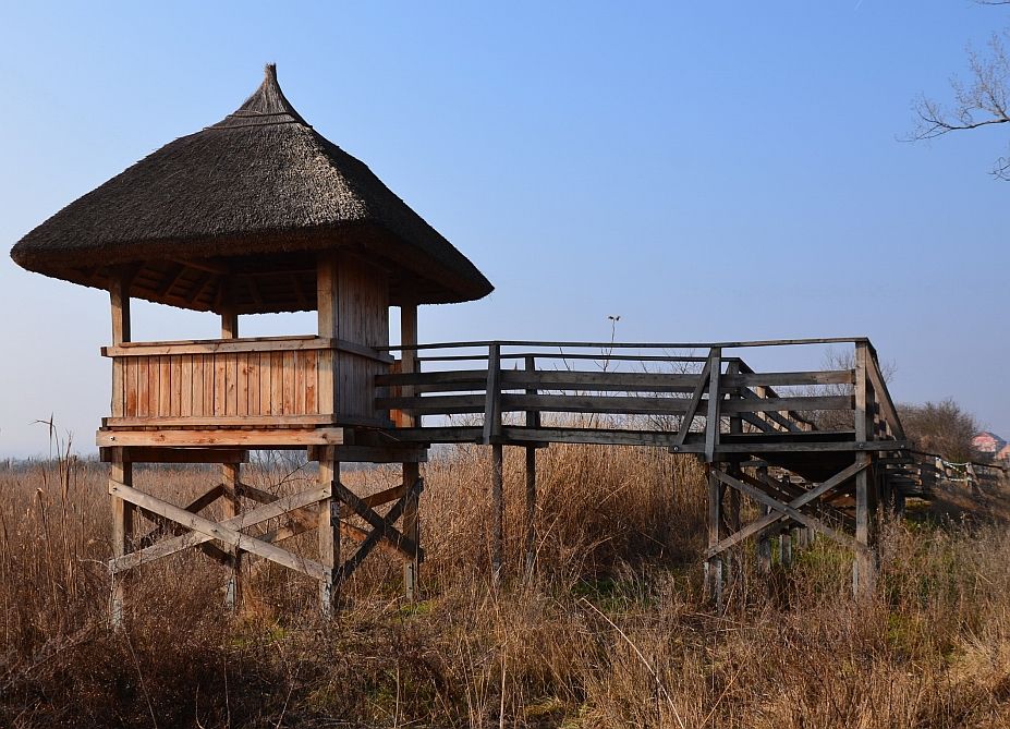 Ornitologická pozorovatelna u rybníka Nesyt