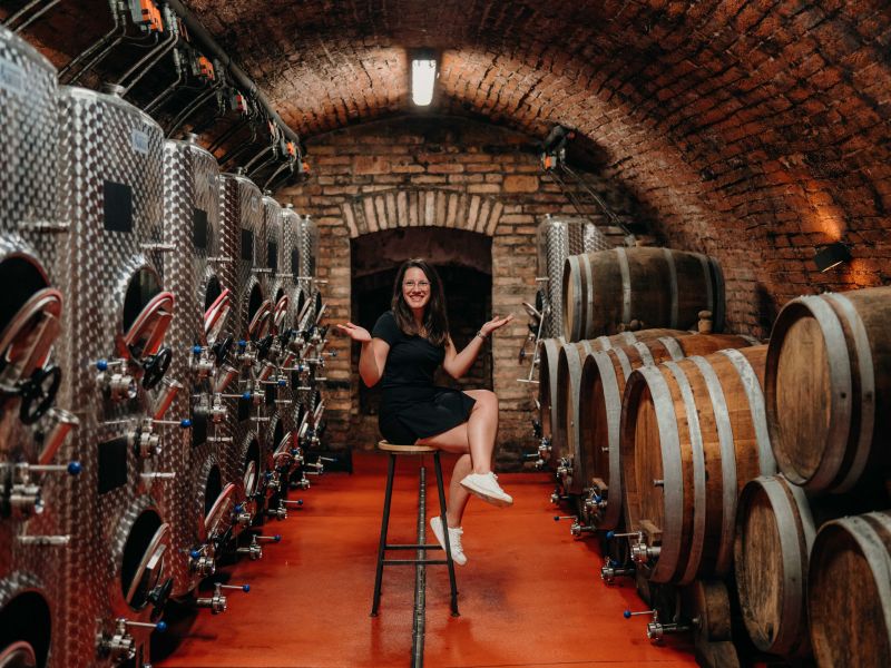 Degustace vinařství Orisek