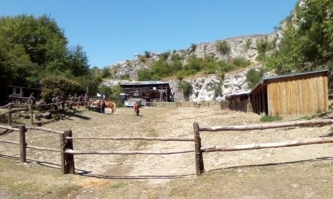 Pony ranč