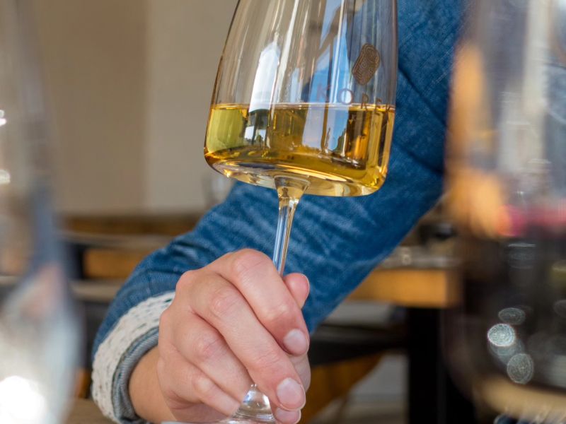 Degustace Vinařství Větrovský