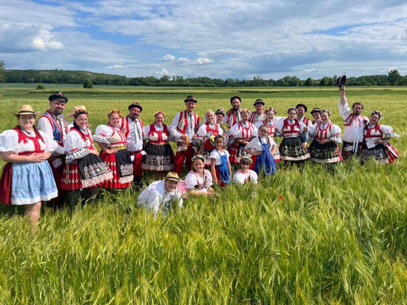 Brodské krojované hody