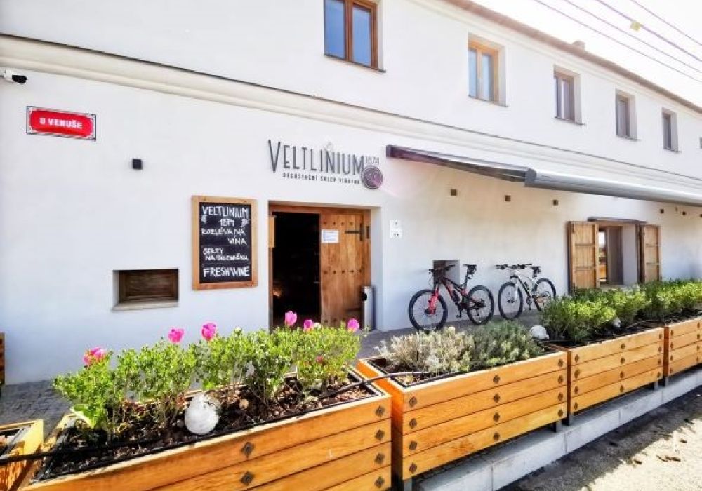 Veltlinium 1874