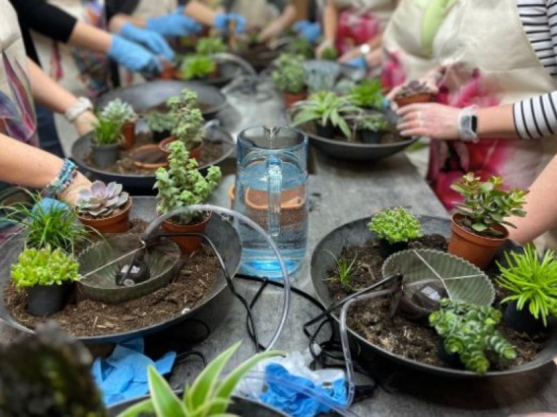 Workshop: Výroba fontány