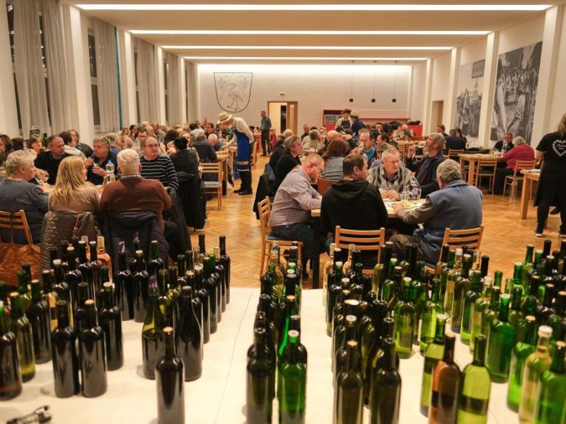 Degustace mladých vín