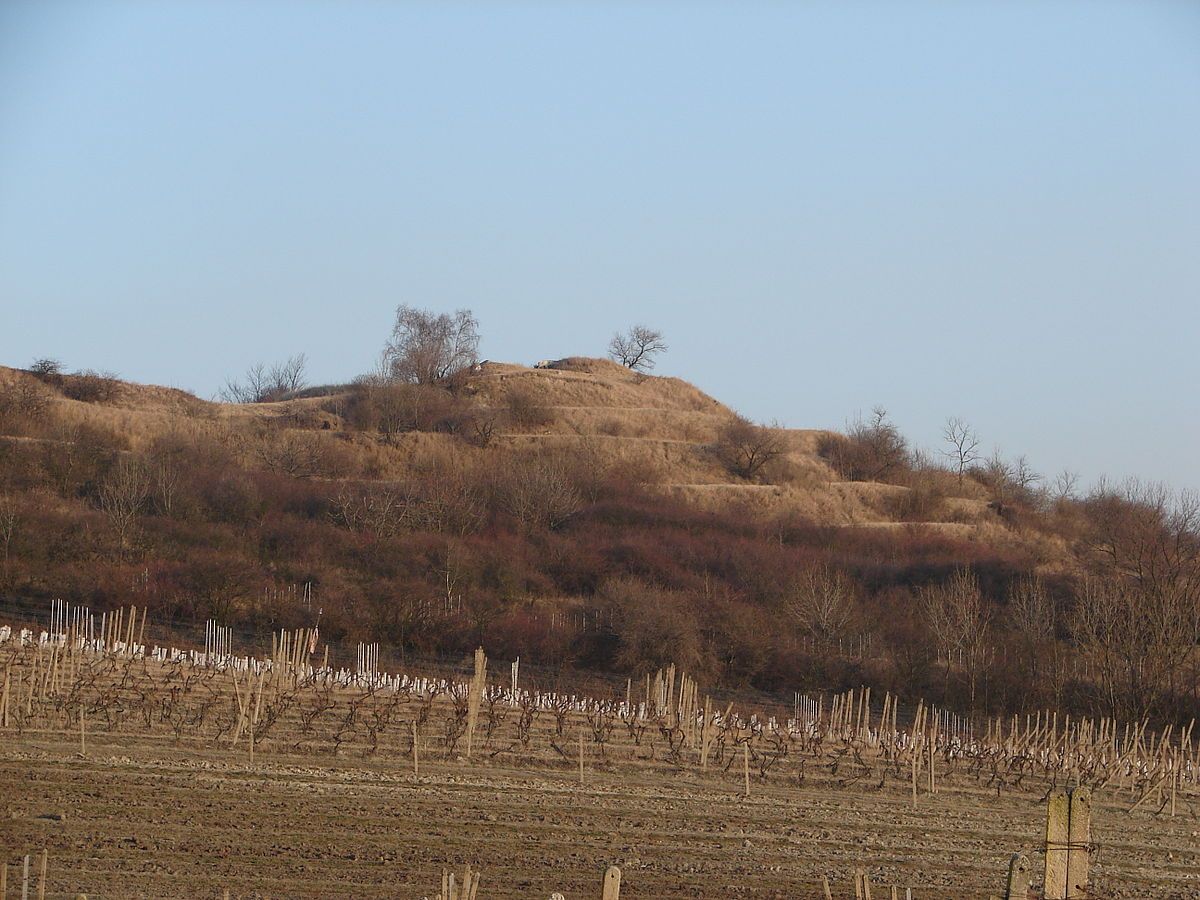 Růžový kopec (PP)
