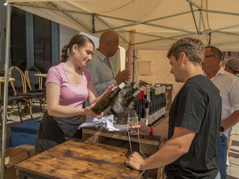 Mikulovské sklepy open