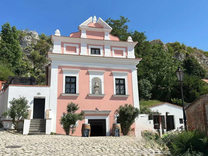 Degustace vín ve Sklepě Pod Kopečkem