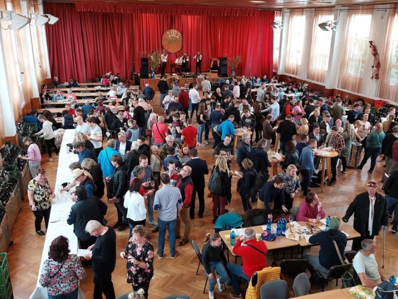 Tradiční regionální výstava vín