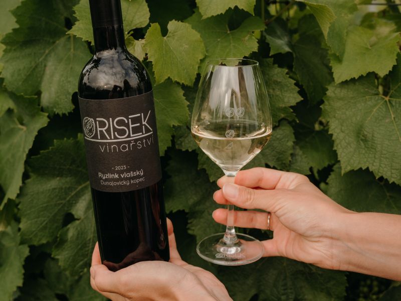 Degustace vinařství Orisek
