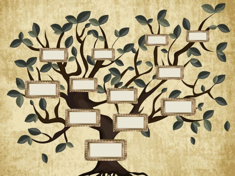 Genealogie pro začátečníky Genealogie pro začátečníky