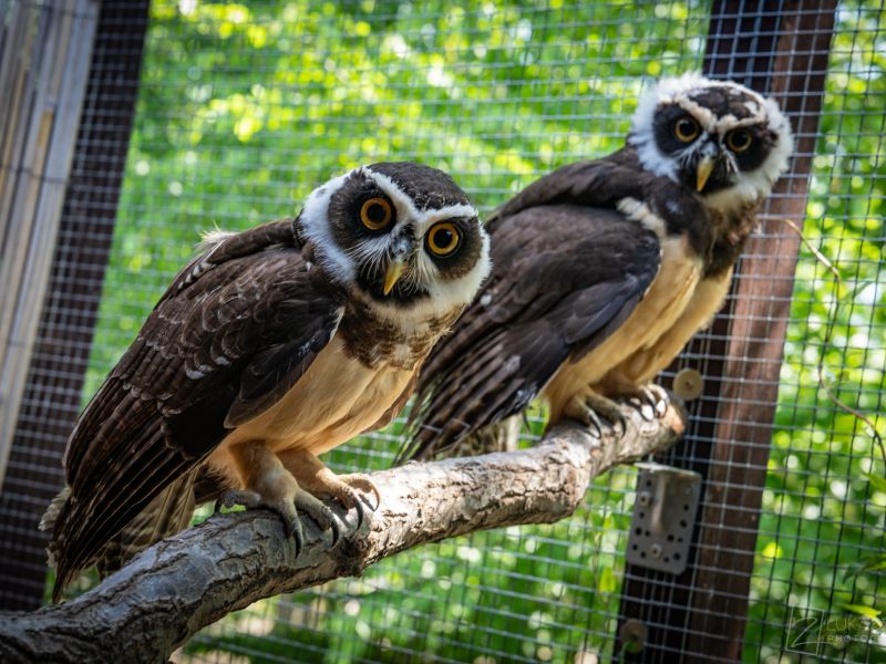 Faunapark ZOO Sedlec