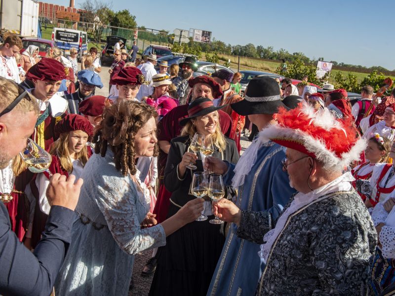 Vinobraní