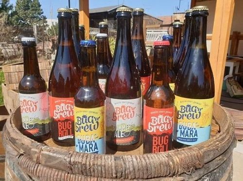 Bug’n’brew