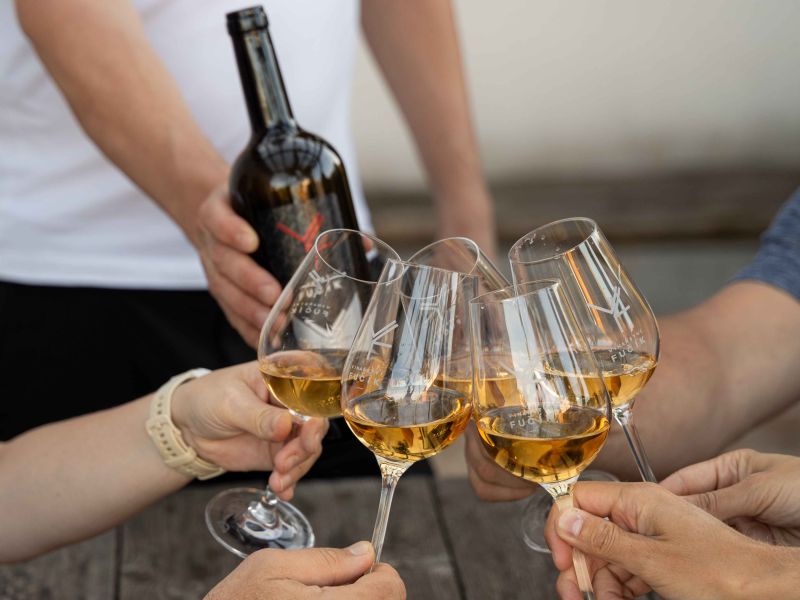 Degustační sobota ve Vinařství Fučík Degustační sobota ve Vinařství Fučík