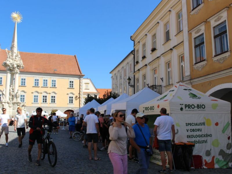 Festival Bio vín a sýrů Mikulov Festival Bio vín a sýrů Mikulov