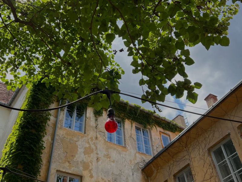 Letní market Mikulov