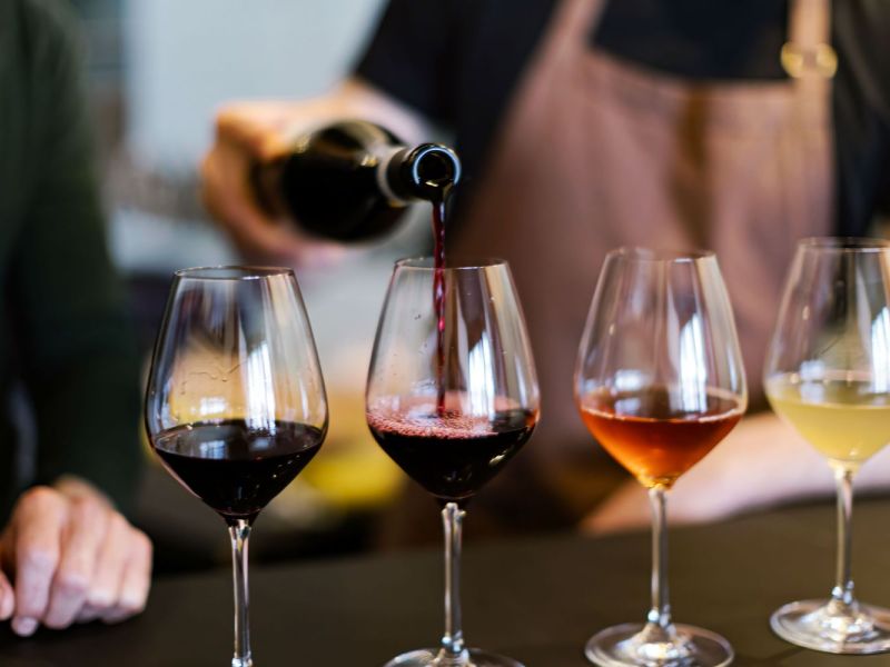 Hodnocení vzorků vín