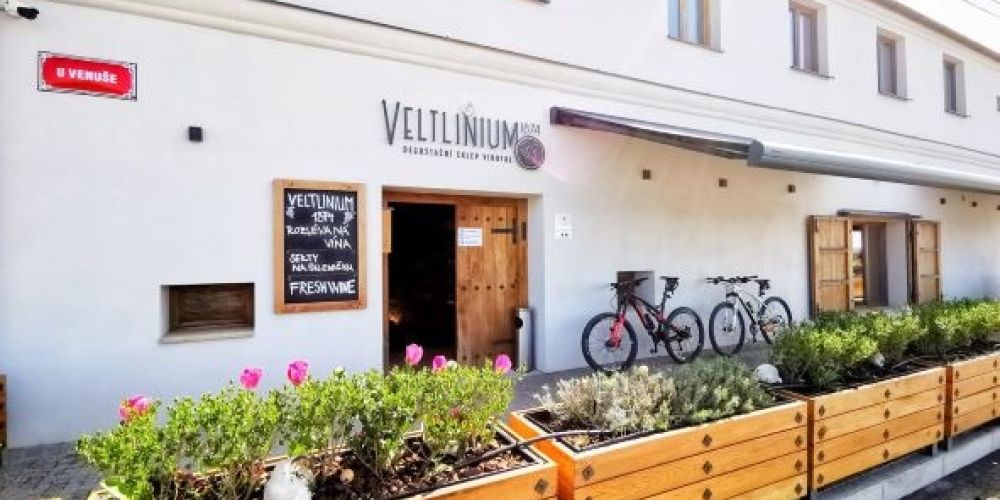 Veltlinium 1874
