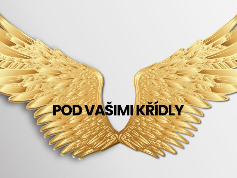 Pod vašimi křídly Pod vašimi křídly