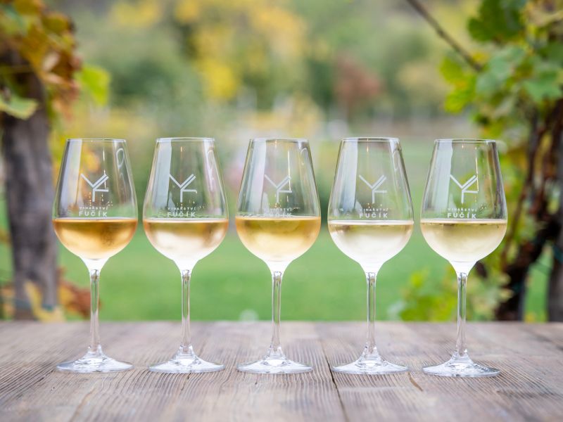 Degustační středa ve Vinařství Fučík Degustační středa ve Vinařství Fučík