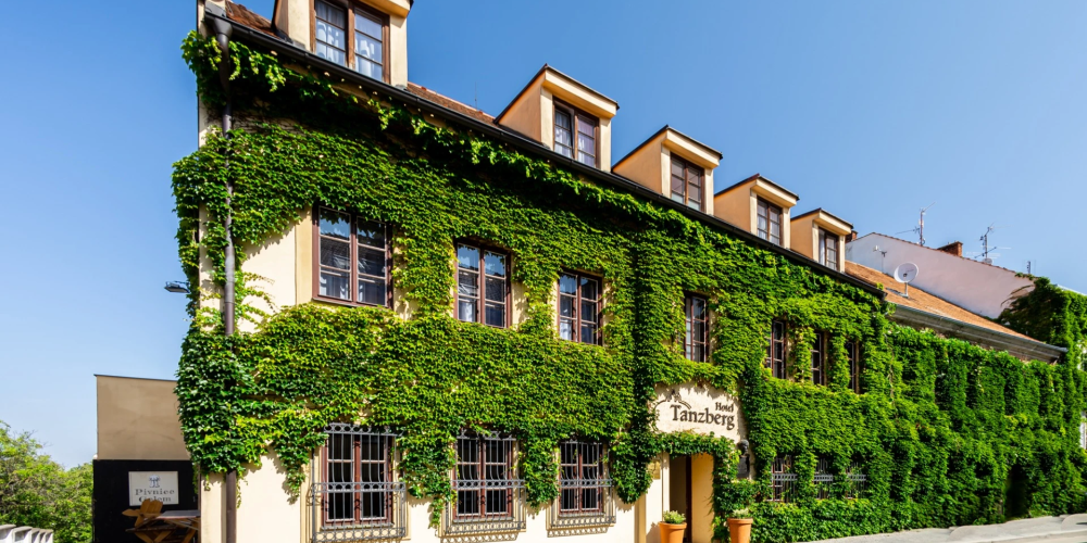 Hotel Tanzberg