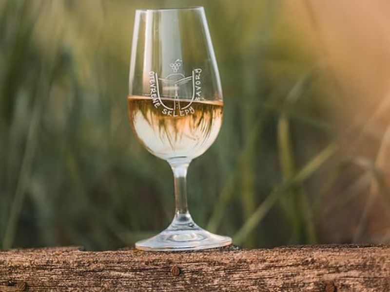 Léto s bavorským vinařem: Vinařství a ubytování U Šolců