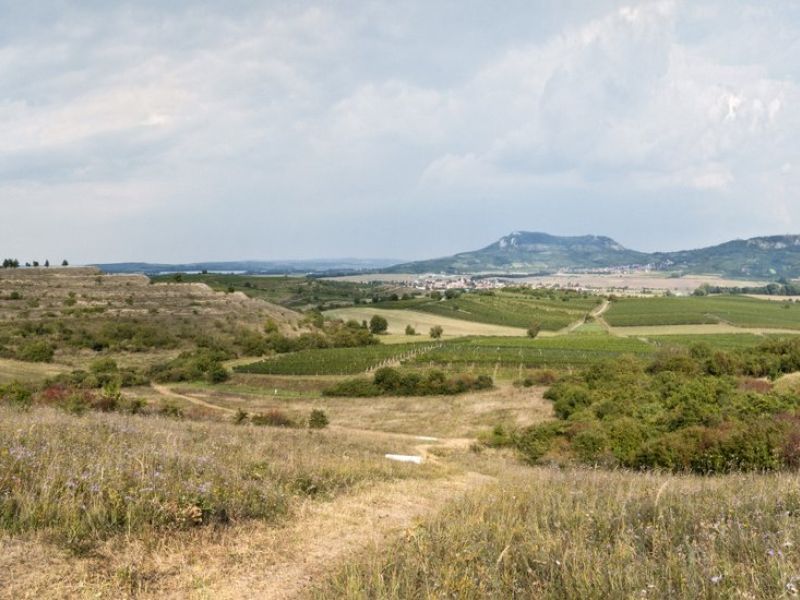 Umění v pálavské krajině