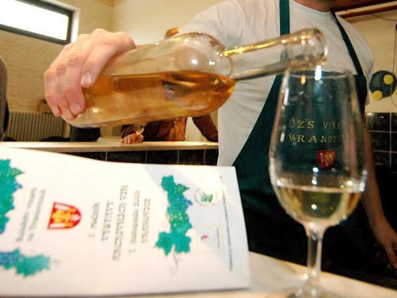 16. ročník výstavy archivních vín 16. ročník výstavy archivních vín